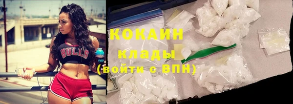 тгк Абаза
