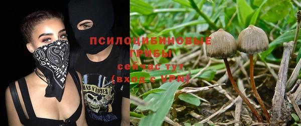 дживик Абинск