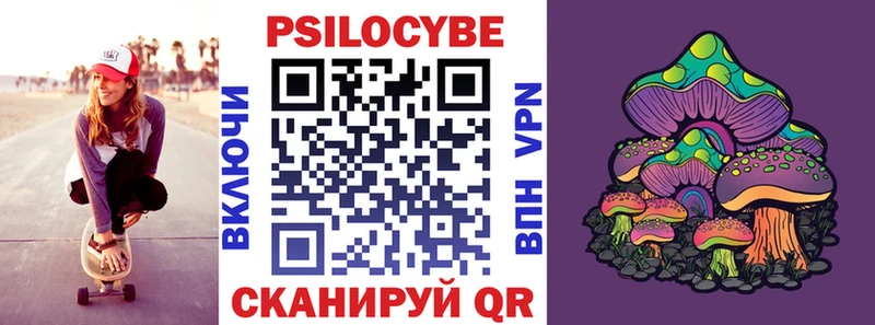 Псилоцибиновые грибы Psilocybine cubensis  Кировград 