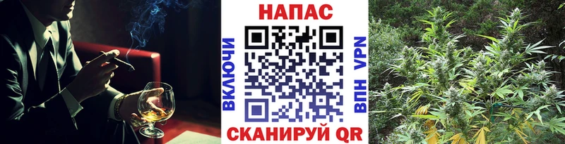 как найти закладки  мега маркетплейс  Шишки марихуана White Widow  Кировград 
